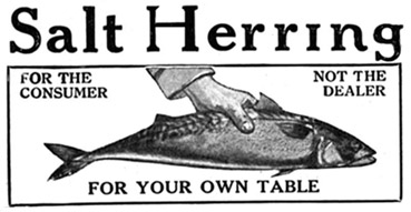 Salt Herring advertisement